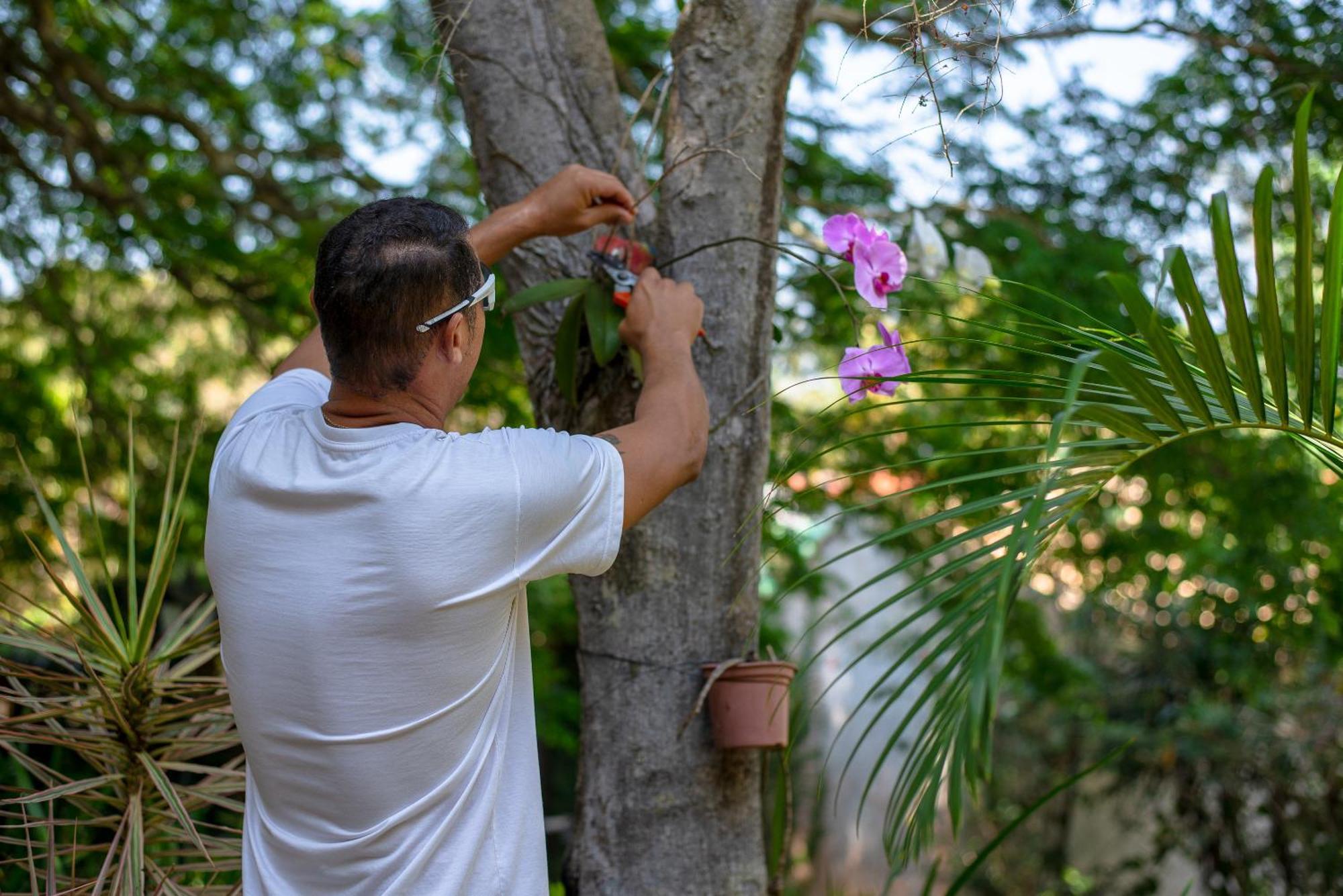 Villa Bella Ferradura Armacao dos Buzios Ngoại thất bức ảnh
